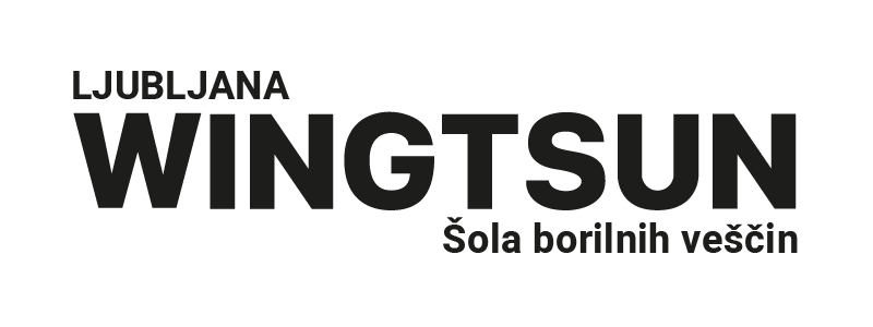 Vaša šola WingTsun Logo